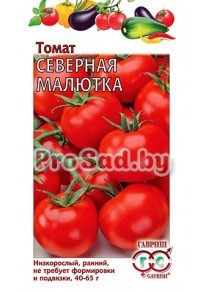 Томат Северная малютка