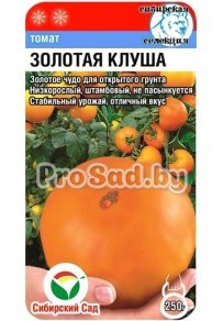 Томат Золотая клуша