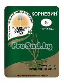 Корневин (стимулятор корнеобразования)