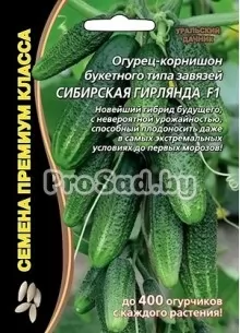 Огурец F1 Сибирская гирлянда