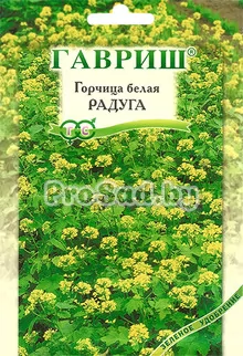 Горчица белая Радуга