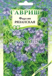 Фацелия пижмолистная Рязанская