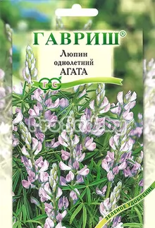 Люпин однолетний Агата