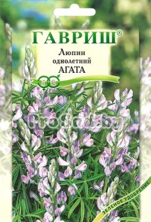 Люпин однолетний Агата