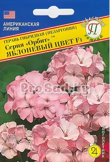 Пеларгония F1 Орбит, яблоневый цвет (США)