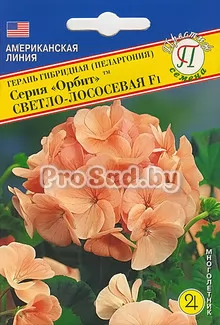 Пеларгония F1 Орбит, светло-лососевая (США)