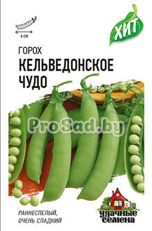 Горох Кельведонское чудо