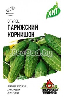 Огурец Парижский корнишон