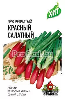 Лук на зелень (репчатый) Красный салатный