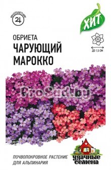 Обриета крупноцветковая Чарующий Марокко, смесь
