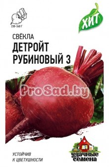 Свекла столовая Детройт рубиновый 3