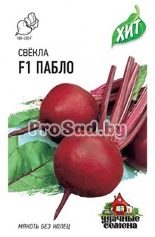 Свекла столовая Пабло