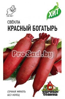 Свекла Красный богатырь