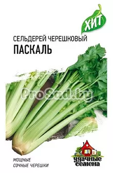 Сельдерей черешковый Паскаль