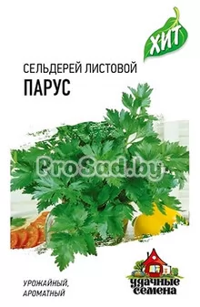 Сельдерей листовой Парус