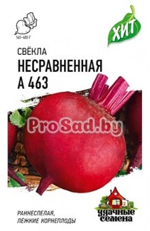 Свекла Несравненная А 463