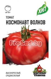 Томат Космонавт Волков