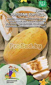Дыня Золотая торпеда