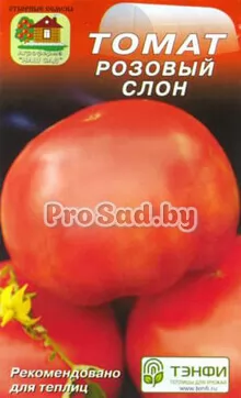 Томат Розовый слон