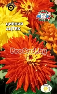 Цинния Ацтек