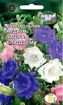 Колокольчик медиум Чашка с блюдцем
