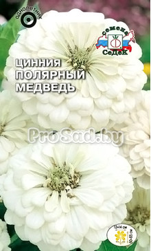 Цинния Полярный медведь