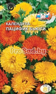 Календула махровая Пацифик бьюти