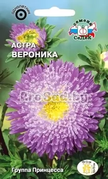 Астра Вероника