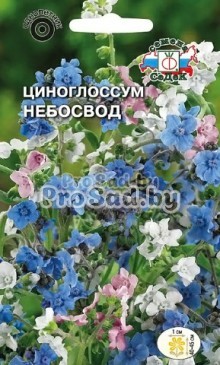 Циноглоссум Небосвод