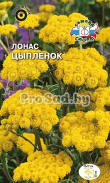Лонас Цыплёнок