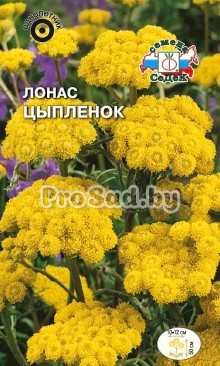 Лонас Цыплёнок