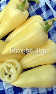 Перец сладкий Белозёрка