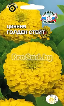 Цинния изящная георгиновидная Голден стейт