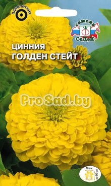 Цинния изящная георгиновидная Голден стейт
