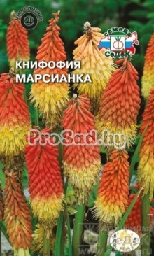 Книфофия ягодная Марсианка