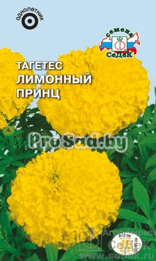 Тагетес Лимонный Принц