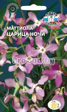 Маттиола Царица Ночи