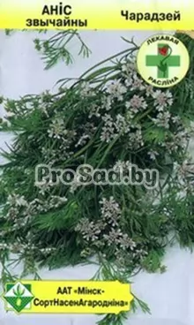 Анис обыкновенный Чародей