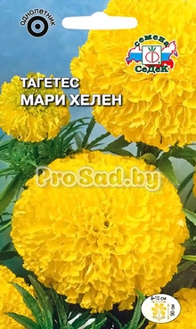 Тагетес Мари Хелен