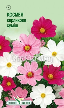 Космея (Космос) дваждыперистая Карликовая смесь