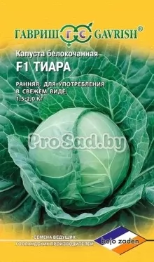 Капуста белокочанная F1 Тиара (Голландия)