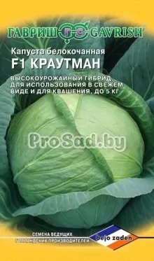 Капуста белокочанная F1 Краутман (Голландия)
