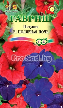 Петуния крупноцветковая F1 Полярная ночь