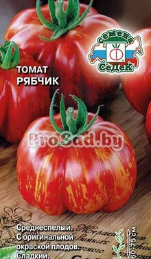 Томат Рябчик