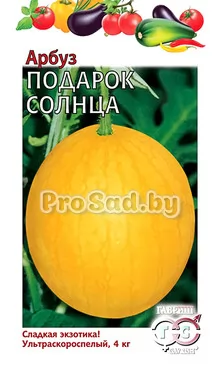 Арбуз Подарок солнца