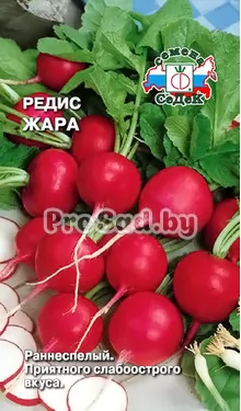 Редис Жара
