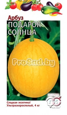 Арбуз Подарок солнца