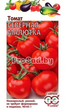 Томат Северная малютка