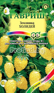Земляника ремонтантная Холидей