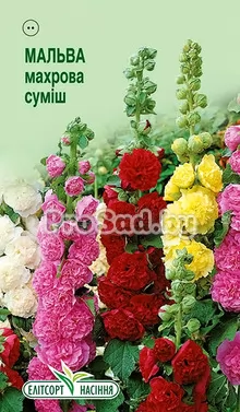 Мальва махровая, смесь